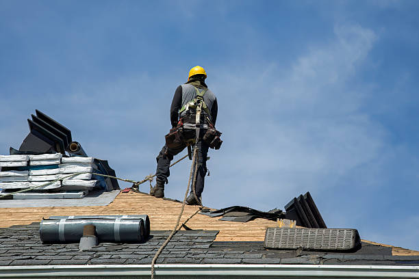 Professional Roof Replacement technician working in Higginsport, OH